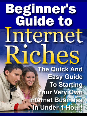 Beginner S Guide To Internet Riches